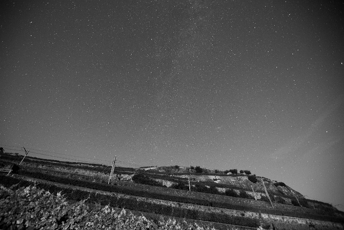 Etoiles Lavaux - Lac de Bret - 067